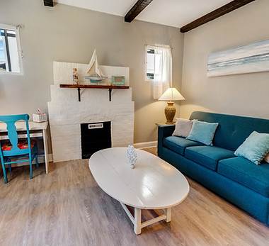 Furnished Rental - Capitol Hill Denver Colorado #2_living room.jpg