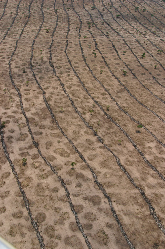 We're Not Farmers by Diana Park