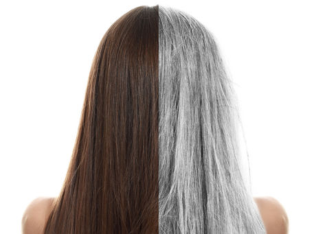 In Praise of Gray by Jay Rubin