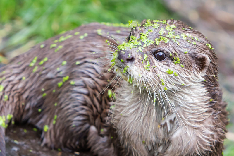 Sleeping with You by Ellen Bass