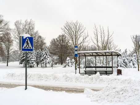 Snow, Fall by Judith Arcana 
