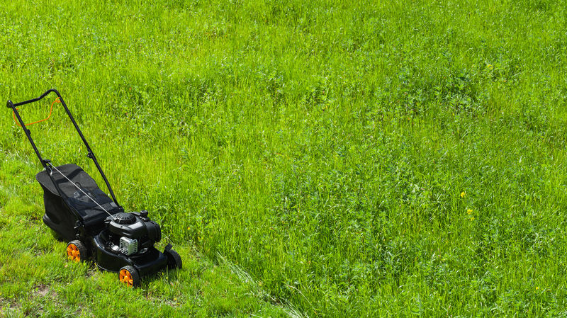The Mower by Philip Larkin