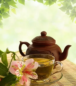 orchid and tea.jpg.webp