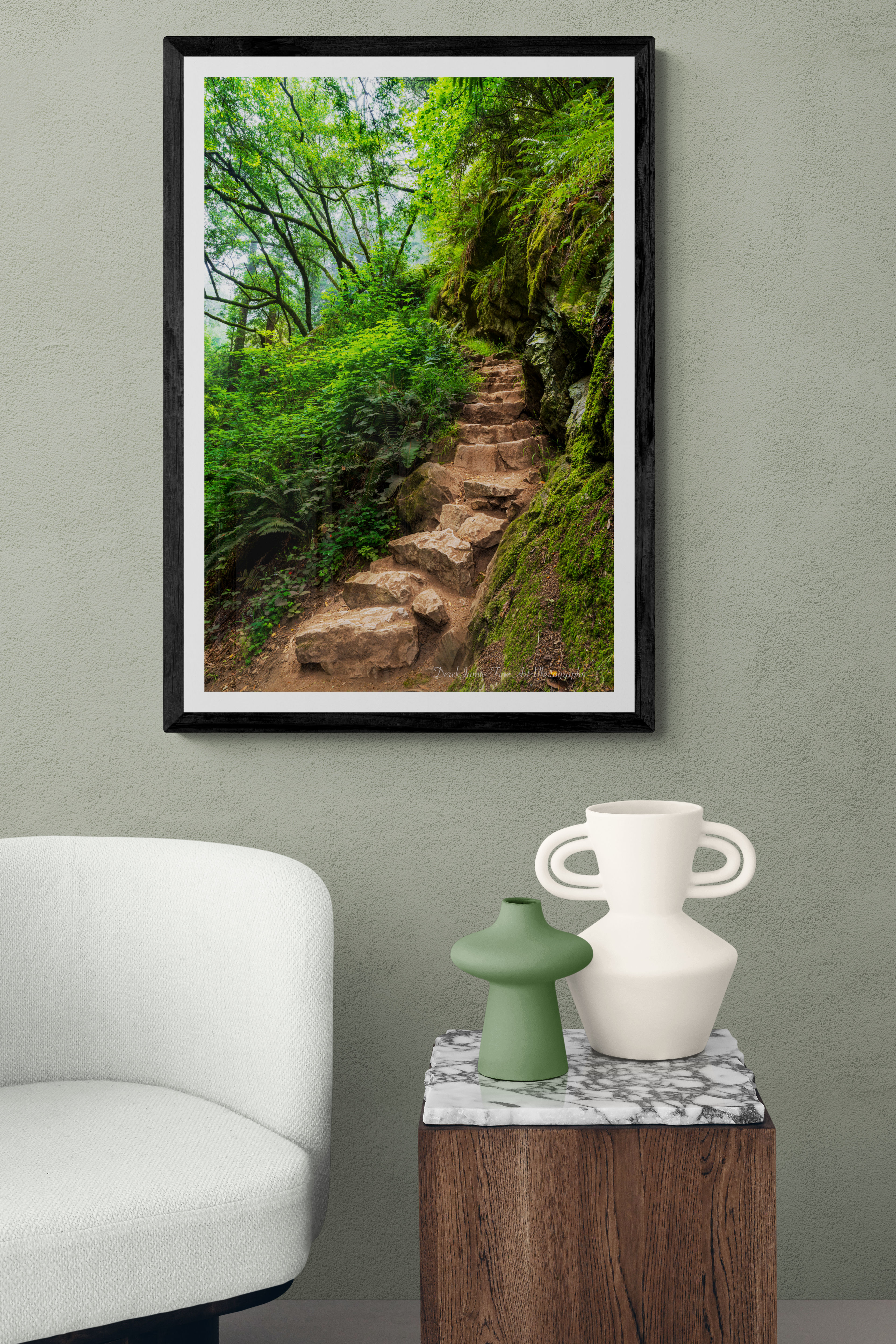 Canopy Climb Fine Art Print