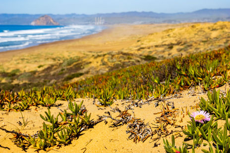 Morro Bay Montana De Pro State Park California Central Coast Beach Vibes