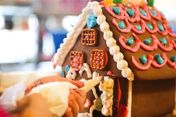 TR1208_NF_Ginger3_km_C casa_editado.jpg