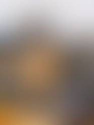 The Top Rice Dish in the World: Authentic Spanish Paella Valenciana