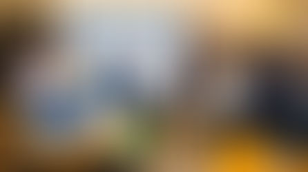 REUNIÃO DIVULGA DADOS DO MERCADO MOBILIÁRIO DO 3º TRIMESTRE E BALANÇO DAS AÇÕES EM 2025