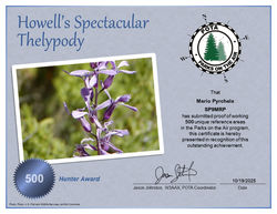 SP9MRP_POTA_Howells_Spectacular_Thelypody_Hunter_Easy-Resize.com