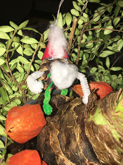 Zapfenmännchen