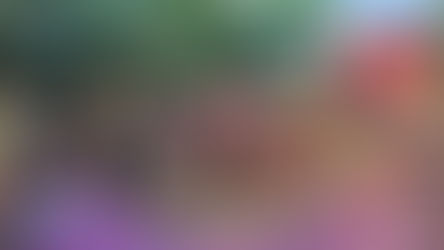 Outreach Program & Early Gift Giving