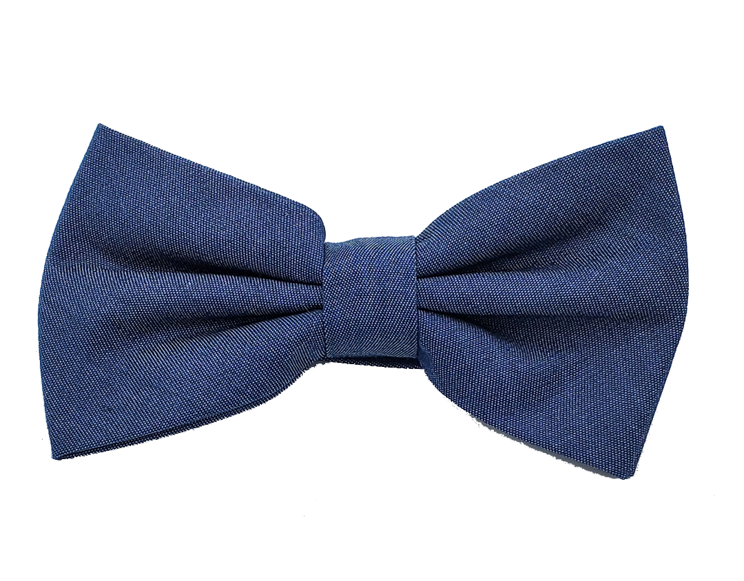 Noeud papillon bleu