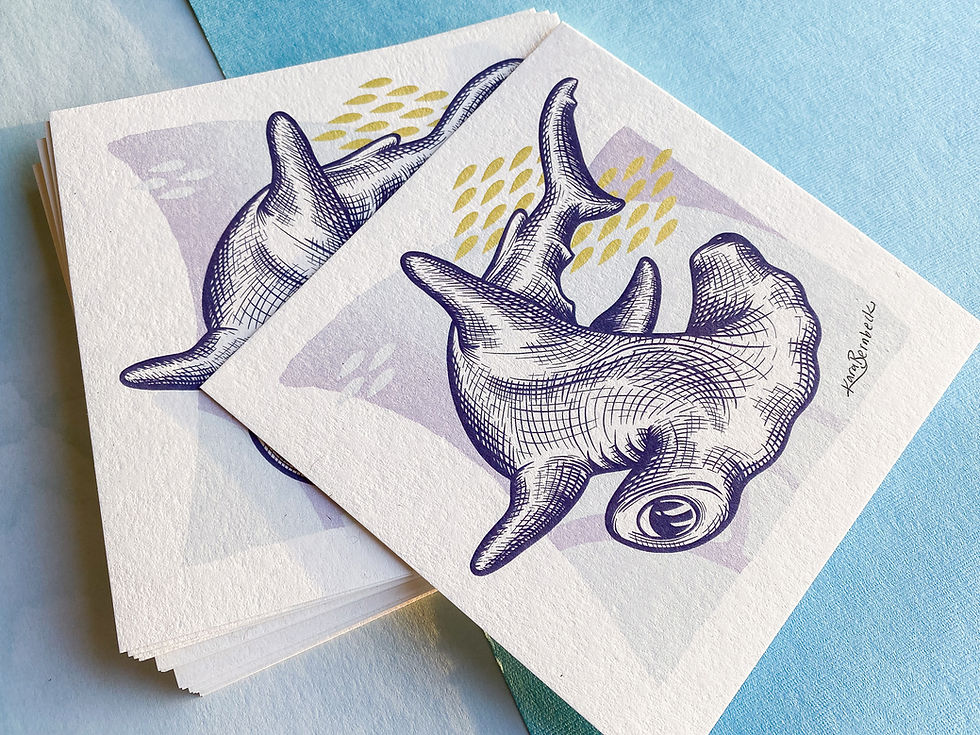 Thumbnail: H is for Hammerhead Shark