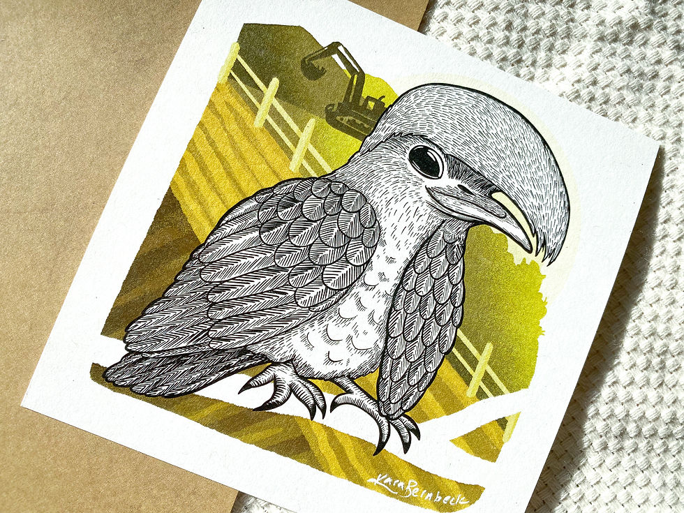 Thumbnail: U is for Umbrellabird