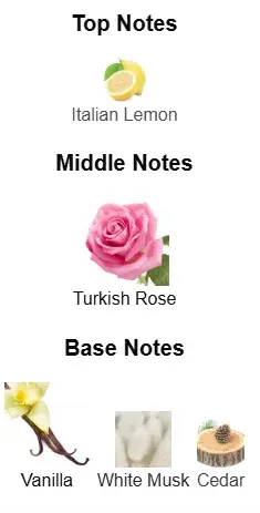 תמונה ממוזערת: 53W