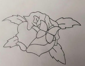 Rose with Butterfly Line