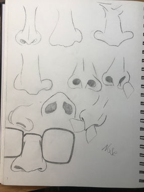 Nose Angles