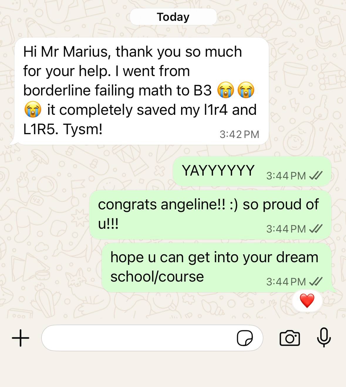 Testimonial for Teacher Marius