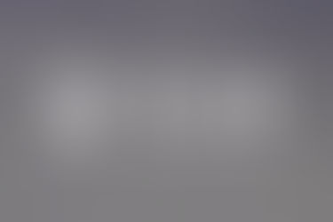 OSR Holdings, Inc. (OSRH)