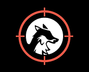 Hunt the night