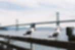 Oakland Bay Bridge - CA (Aug. 2015)