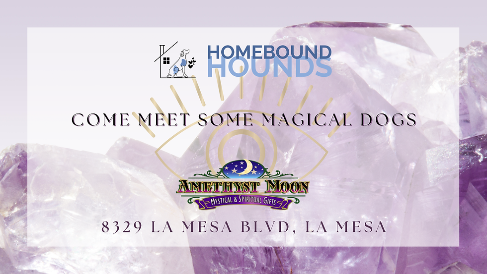 Amethyst Moon Adoption Event