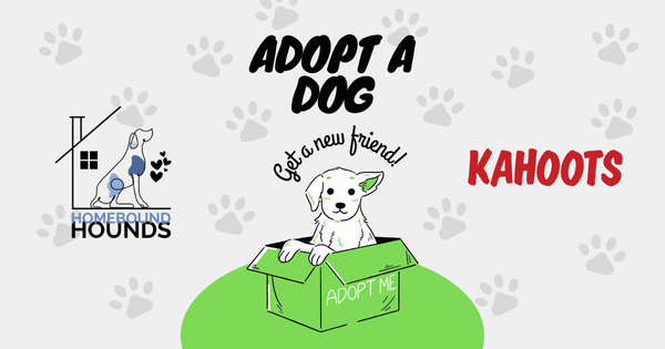 Kahoots Solana Beach Adoption Event