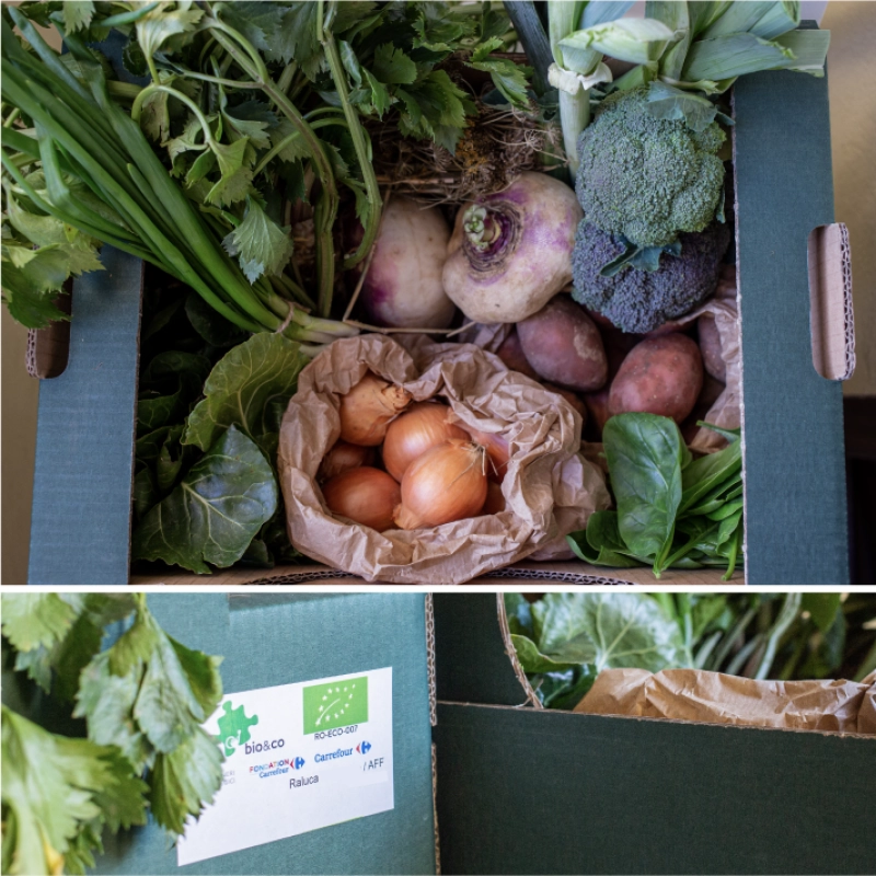Atelier Senzorial - Călătorie în Lumea Vegetală