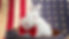 4th_of_July_7111.jpg