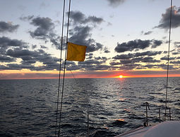 IMG_1735.jpeg