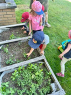 Groupe de jeunes enfants en atelier de jardinage offerte à la Maison de la famille Les Etchemins.