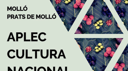 El 5 i 6 de juliol, Aplec de Cultura Nacional entre Molló i Prats de Molló