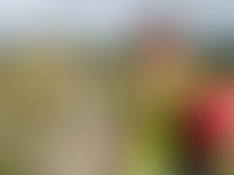 L'Ajuntament acull un estudiant universitari en pràctiques en el marc del projecte Odisseu