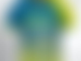 Ja tenim la samarreta de la Molló Trail 2026