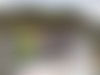 Suspesa la cursa de Coll d'Ares 2020