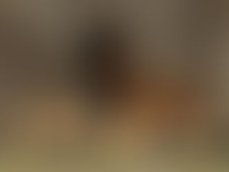 Nota informativa sobre la influença aviària i mesures per explotacions que tenen aus.