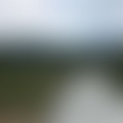 Es destinen 27.968,20€ a la millora del ferm i sega de vegetació de camins rurals.