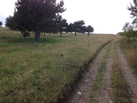 Aprovat inicialment l'inventari de camins municipals