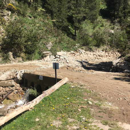 Reoberta al trànsit la pista forestal d'Espinavell a Setcases