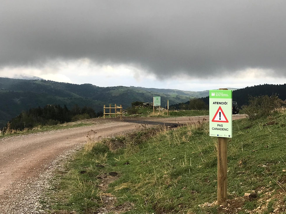 Reoberta la circulació al trànsit de la pista d'Espinavell a Setcases