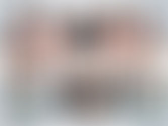 La Selvatana, Brams,... a la Festa del Roser d’enguany!