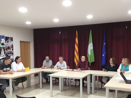 Convocatòria del Ple de 29 de novembre de 2019