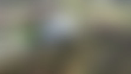 Els danys per les ventades de març 2026 en equipaments ascendeixen a 145.679,04€