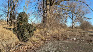 IMG_7346.jpeg