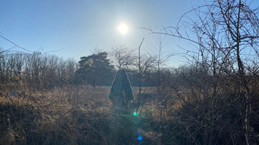 IMG_7327.jpeg