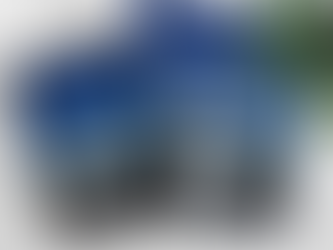 The Tampa Guide - Immobilienkauf in Florida