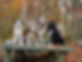 2243EDD7-2320-4C43-84CB-FC137E15083E_1_105_c.jpeg