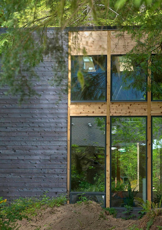 Large Windows with cedar trim and Shou Sugi Ban ( charred Cedar) siding