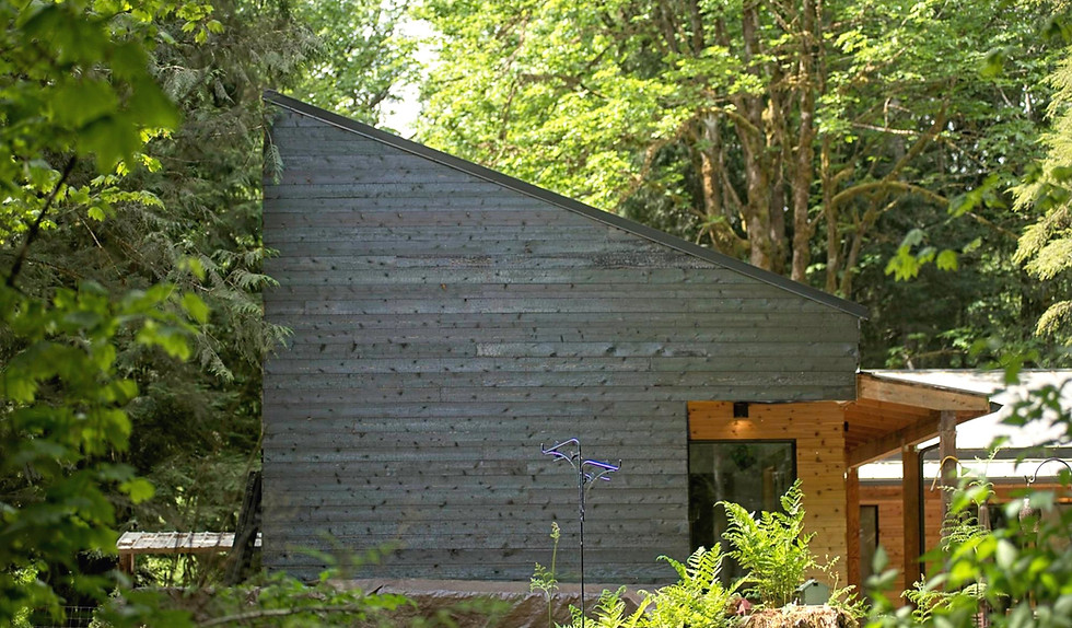 House with charred cedar siding