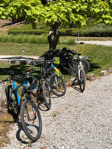 velo.jpg